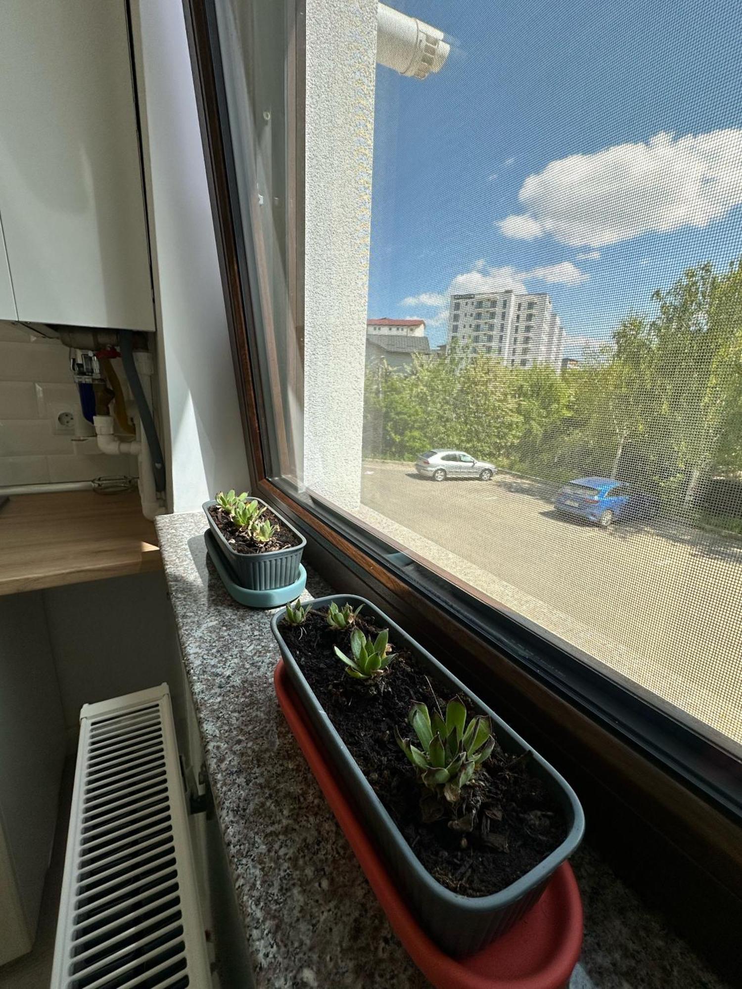 Amadeus Iasi Apartment Exterior photo